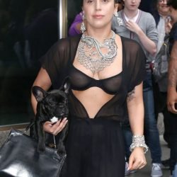 Lady Gaga | Celeb Masta 171