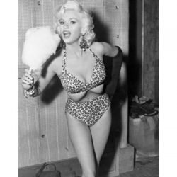 Jayne Mansfield | Celeb Masta 22