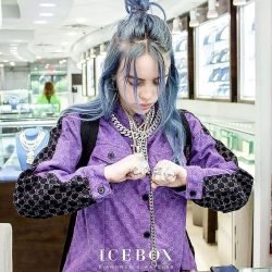 Billie Eilish | Celeb Masta 55