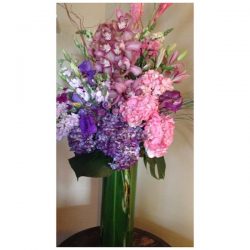 Thank You For All The Support! | Celeb Masta 2