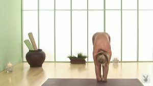 Yoga (100+ pics) Part3 | Celeb Masta 82