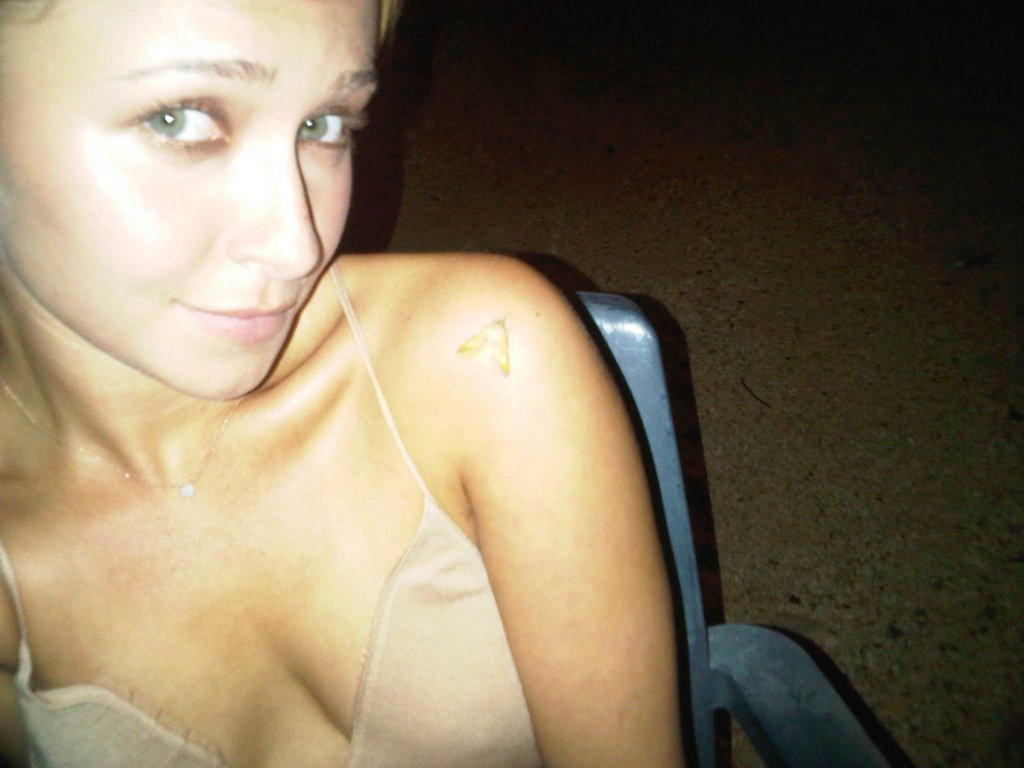 Hayden Panettiere | Celeb Masta 48