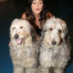 Katy Perry | Celeb Masta 46