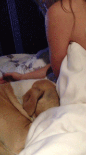 Kaley Cuoco | Celeb Masta 71