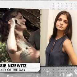 Jessie Nizewitz | Celeb Masta 6