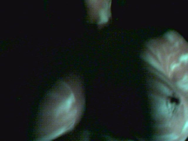 Leelee Sobieski | Celeb Masta 16