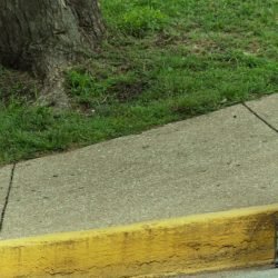 Ariel Winter | Celeb Masta 29