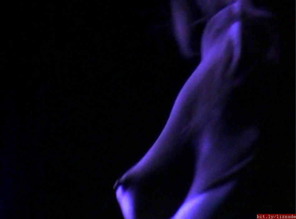 Elizabeth Hurley | Celeb Masta 14