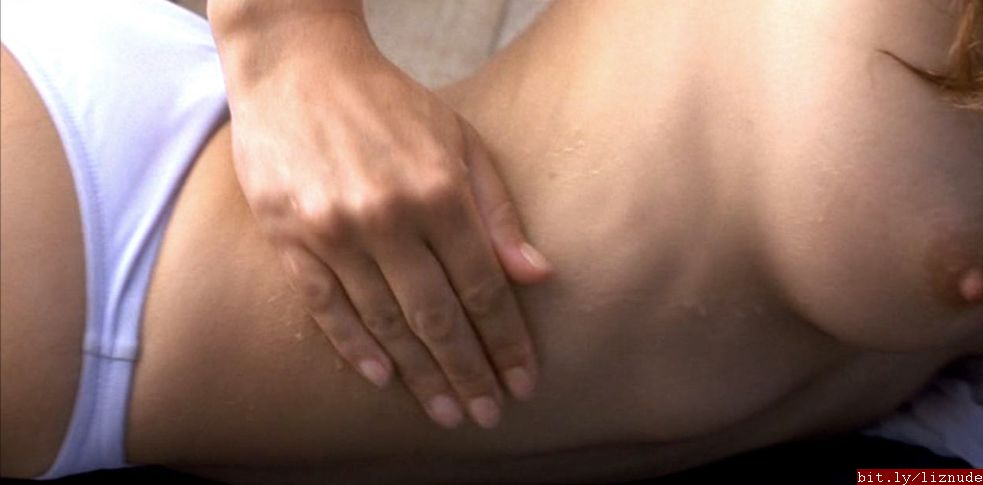 Elizabeth Hurley | Celeb Masta 27