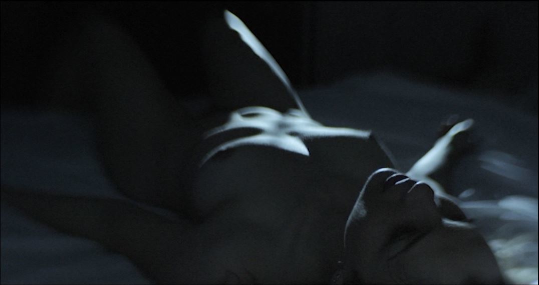 Aisling Knight | Celeb Masta 6