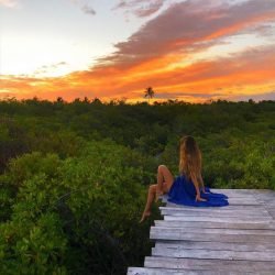 Amberleigh West | Celeb Masta 246