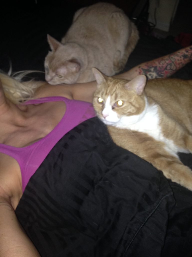 Angelina Love | Celeb Masta 120