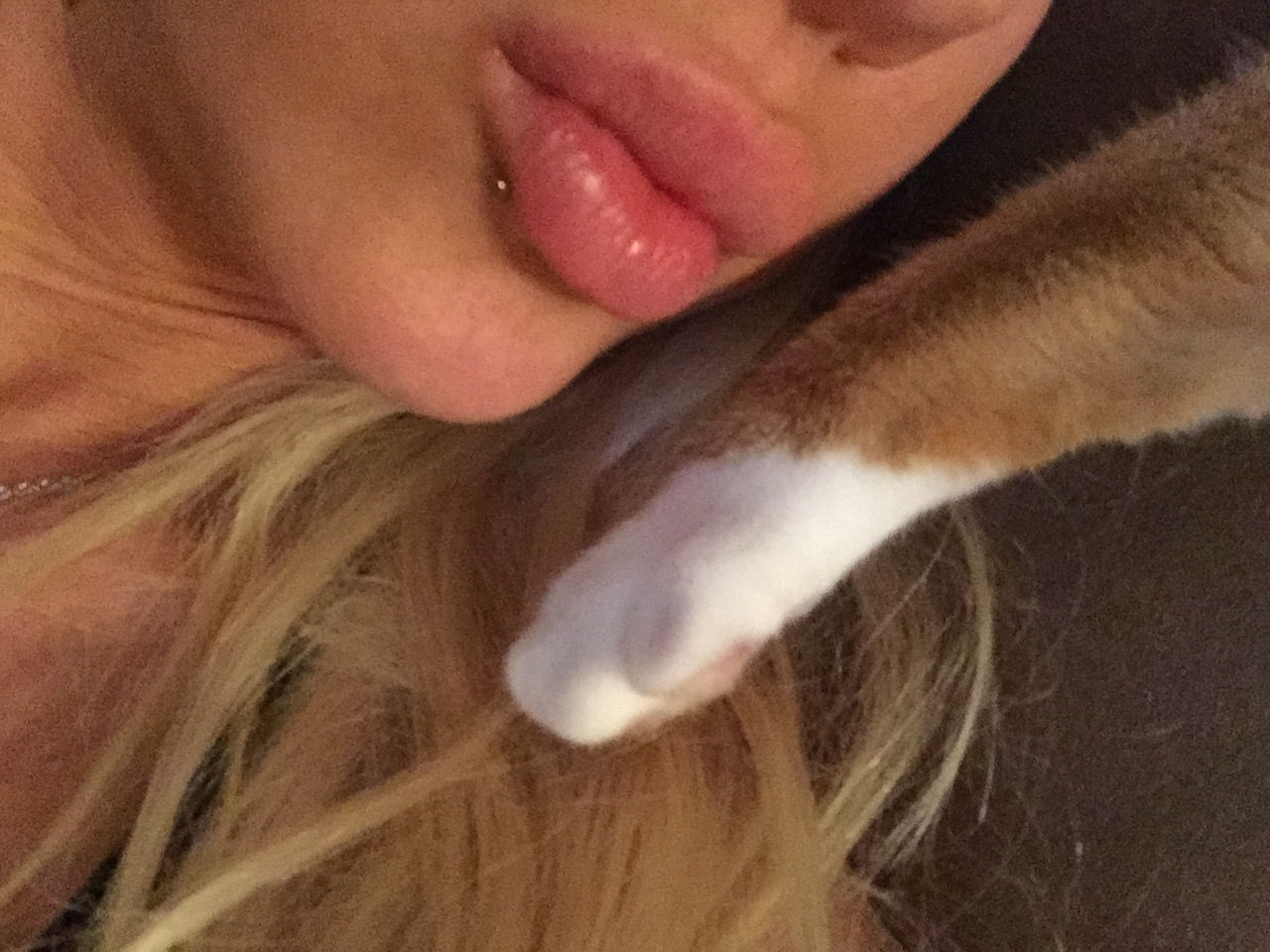 Angelina Love | Celeb Masta 206