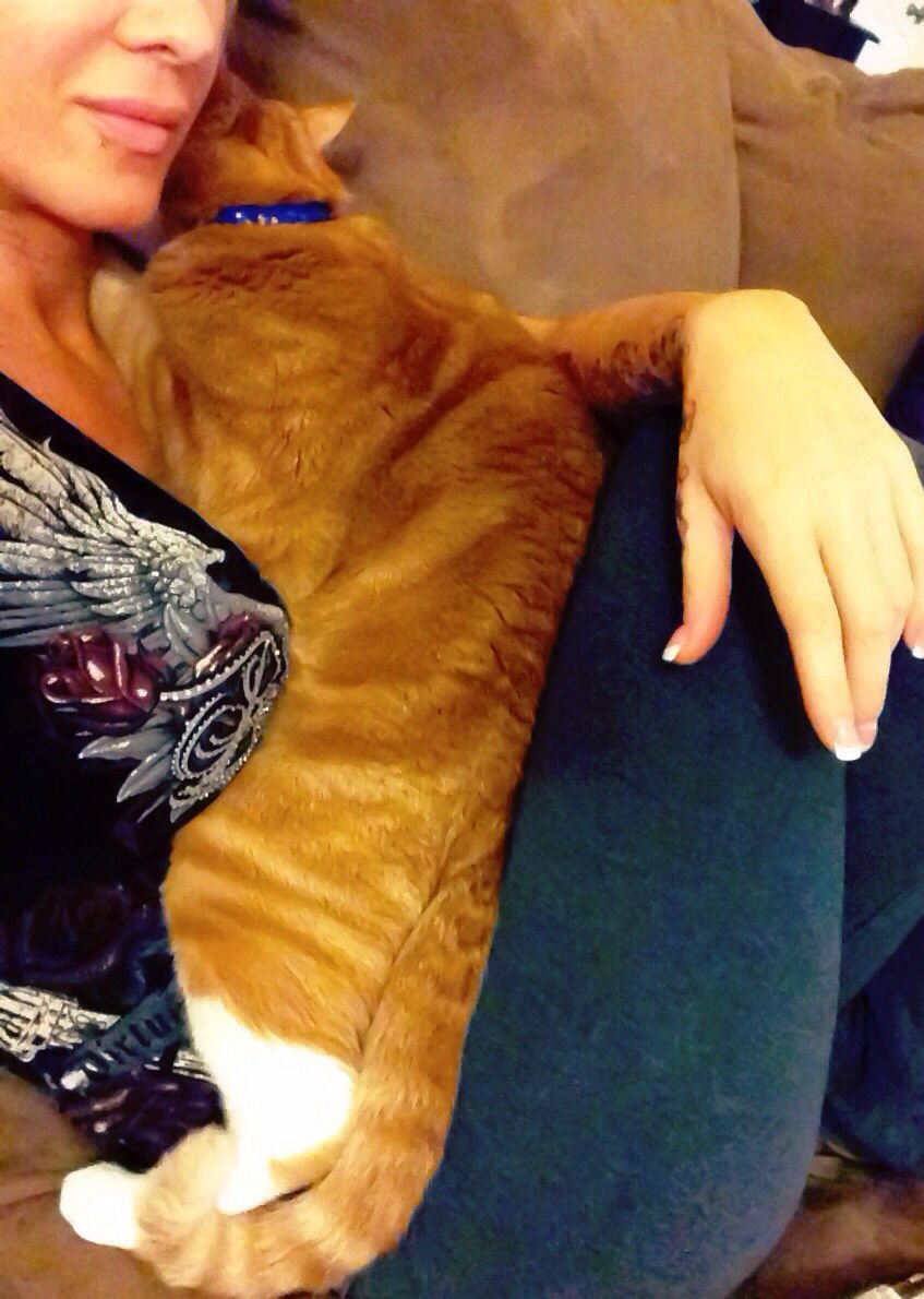 Angelina Love | Celeb Masta 6