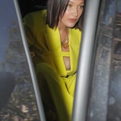 Bella Hadid | Celeb Masta 101
