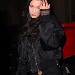 Bella Hadid | Celeb Masta 85