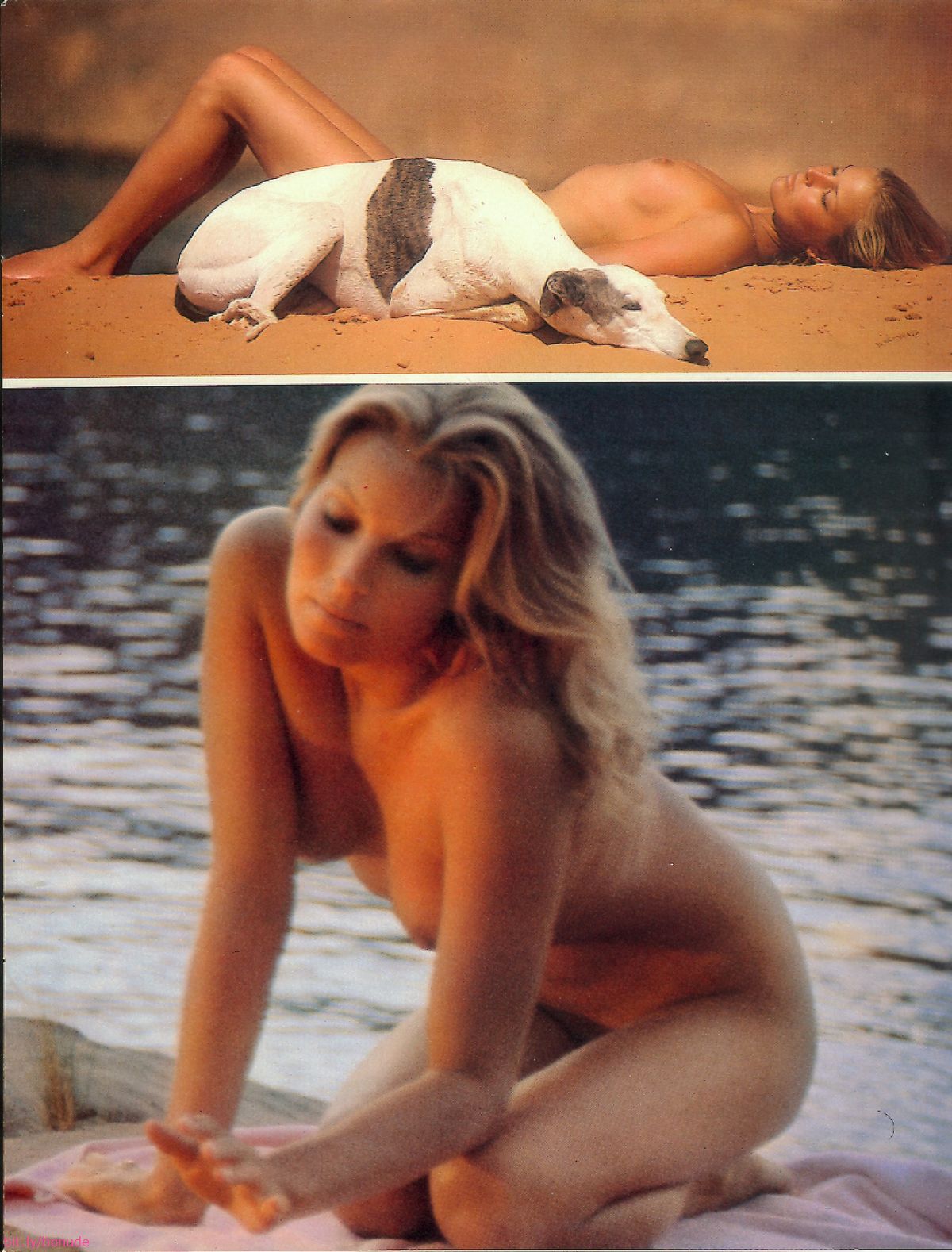 Bo Derek | Celeb Masta 948