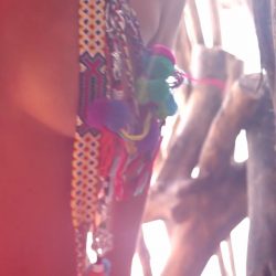 Bo Krsmanovic | Celeb Masta 19