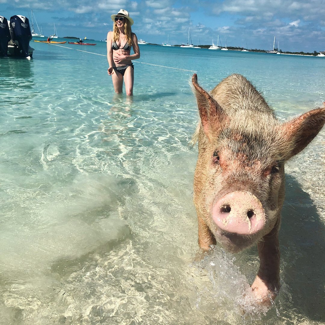 Caity Lotz | Celeb Masta 33