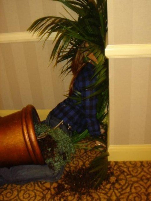 Hailey Glassman | Celeb Masta 5