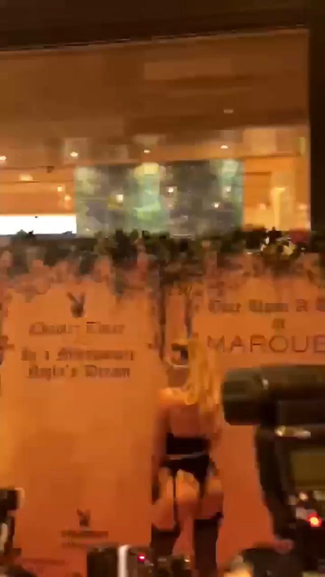 Halsey | Celeb Masta 95