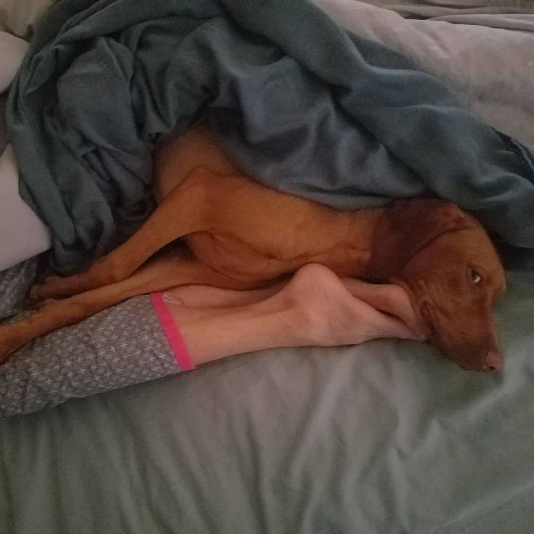 Janice Dickinson | Celeb Masta 39