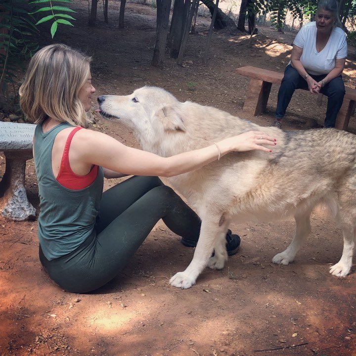 Kim Matula | Celeb Masta 25