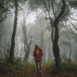 Krissy Mae Cagney | Celeb Masta 37