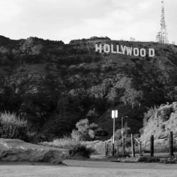 Louis Hofmann Celeb Masta image 14