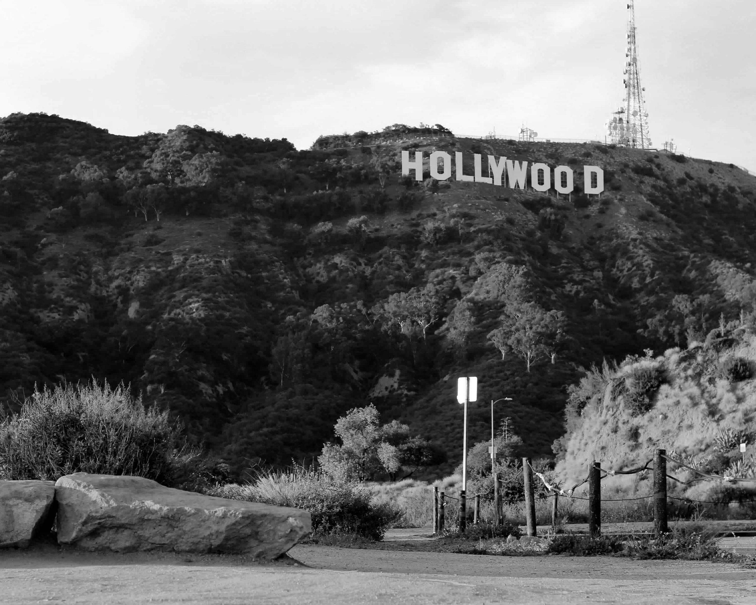 Louis Hofmann Celeb Masta image 14