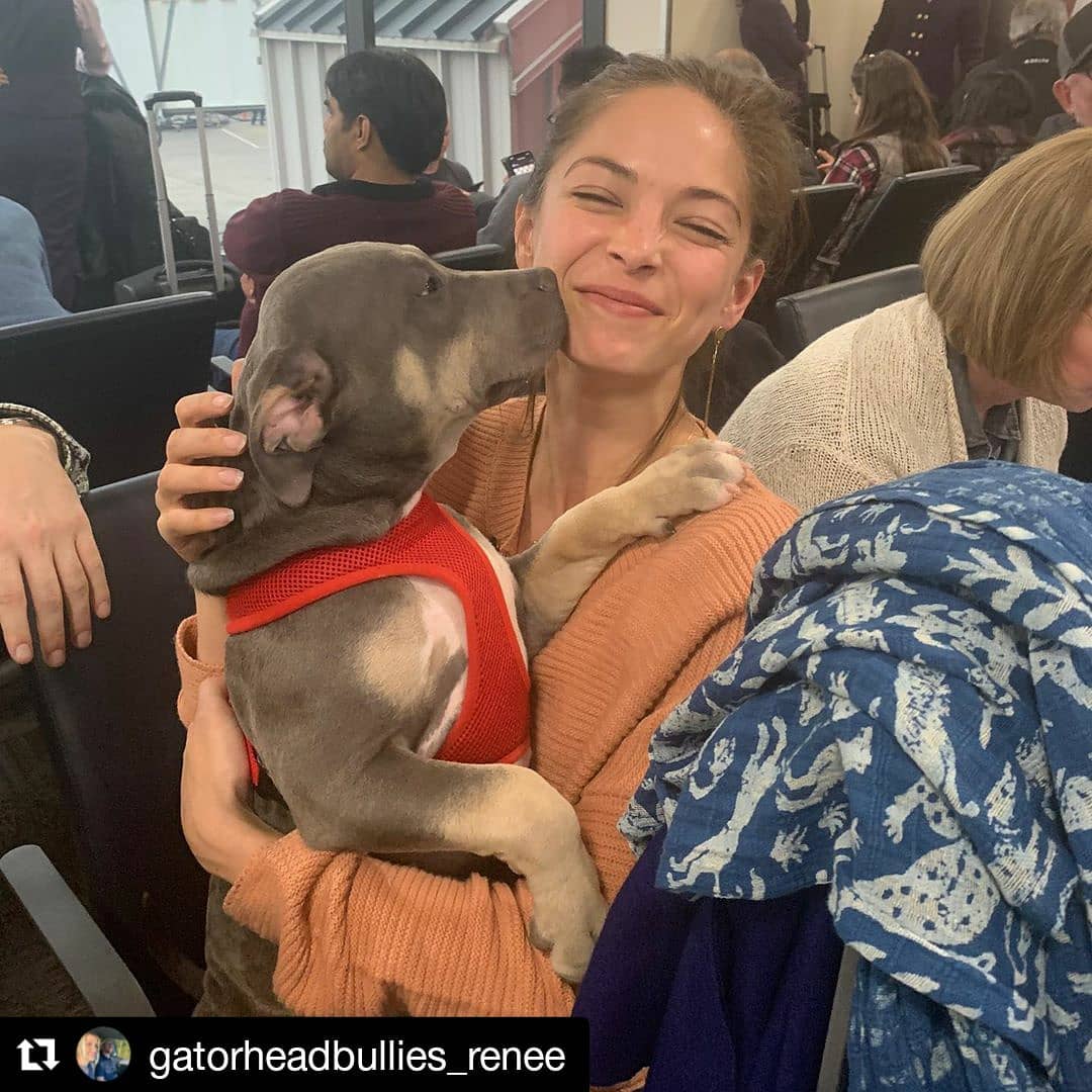 Kristin Kreuk | Celeb Masta 32