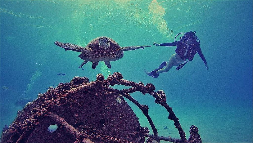 Meaghan Rath | Celeb Masta 44