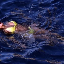 Nicole Scherzinger | Celeb Masta 95