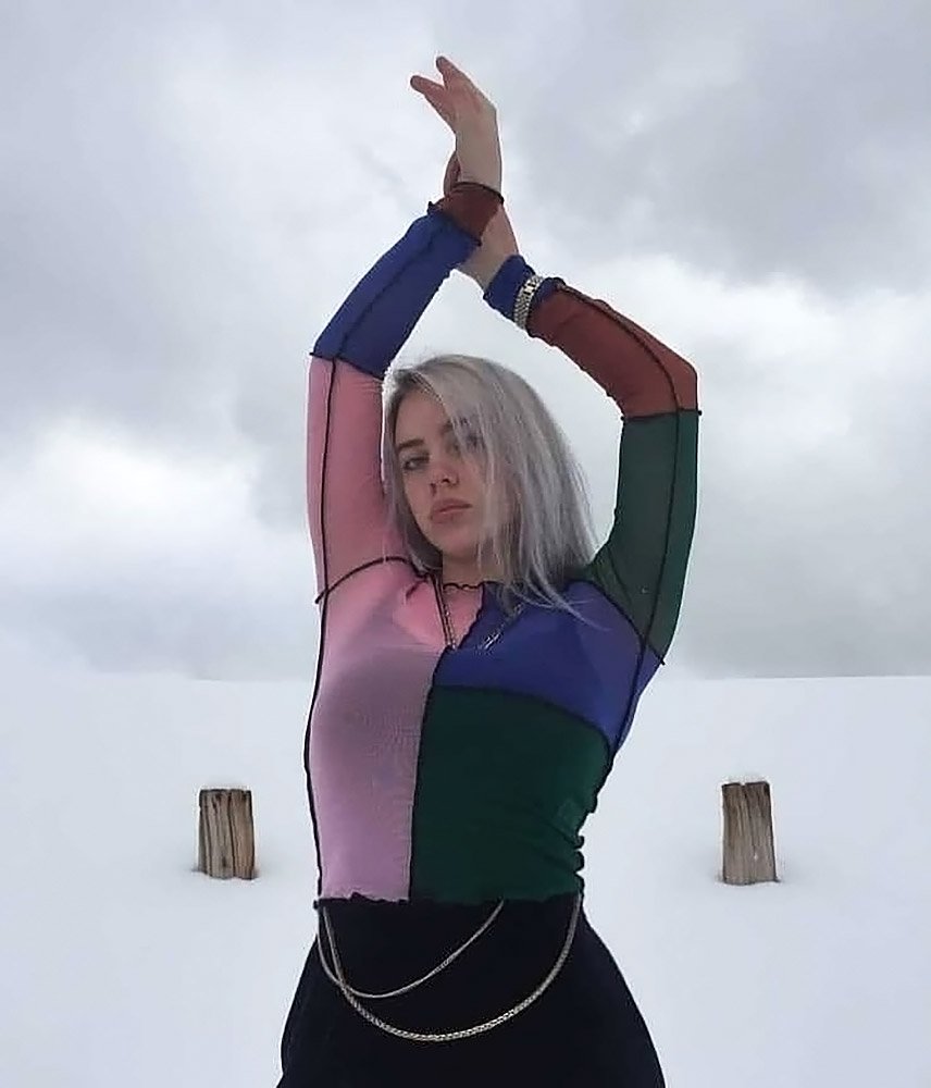 Billie Eilish | Celeb Masta 8