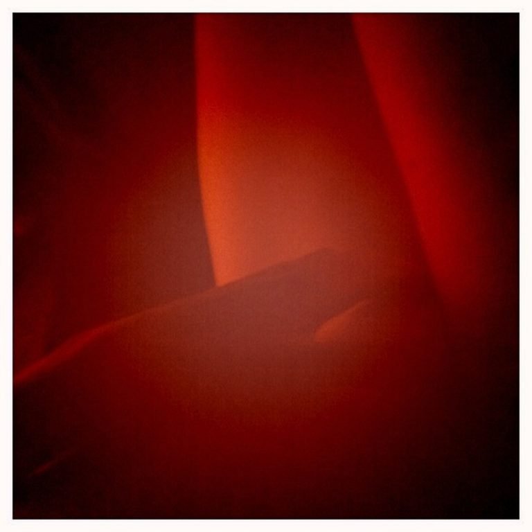 Maggie Q | Celeb Masta 11