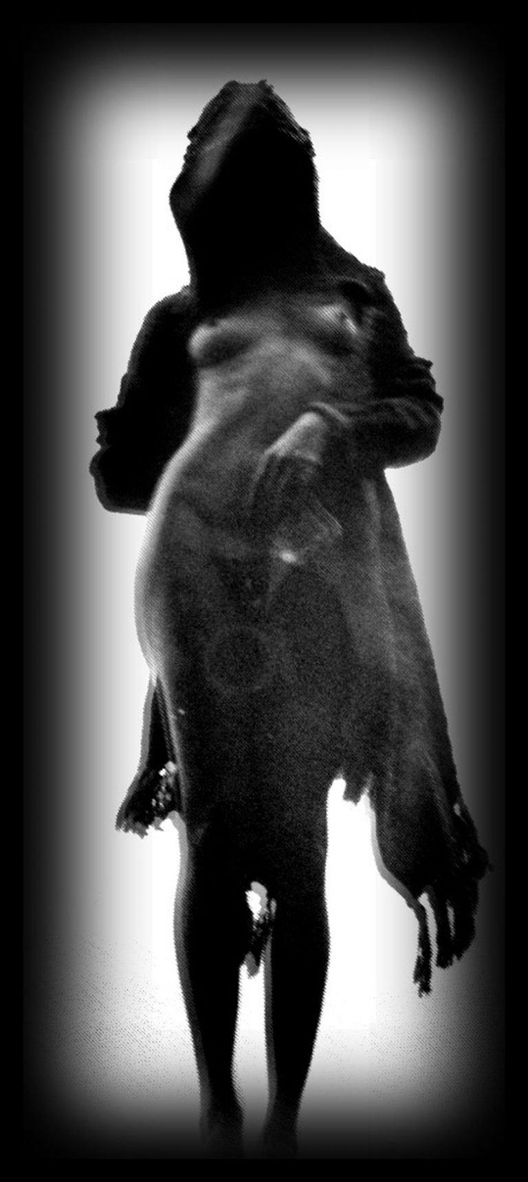 Maggie Q | Celeb Masta 14