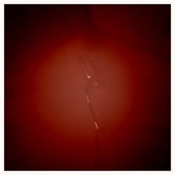 Maggie Q | Celeb Masta 15