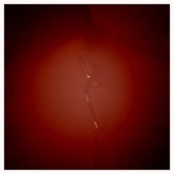 Maggie Q | Celeb Masta 16